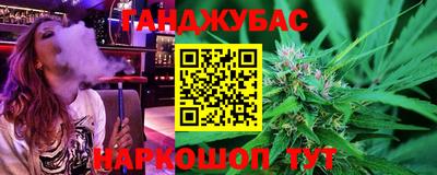 сатива Лесосибирск