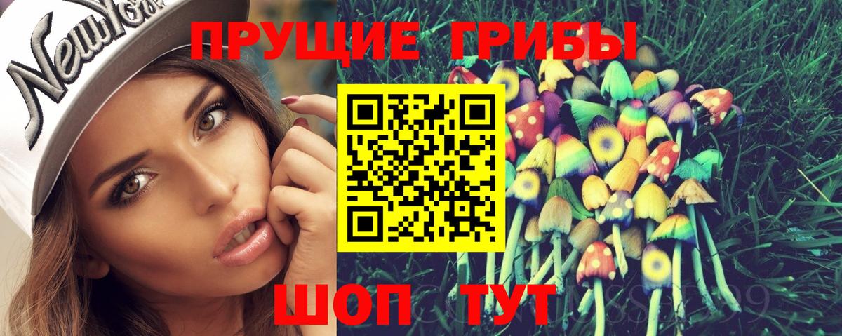 Псилоцибиновые грибы Psilocybe Среднеуральск
