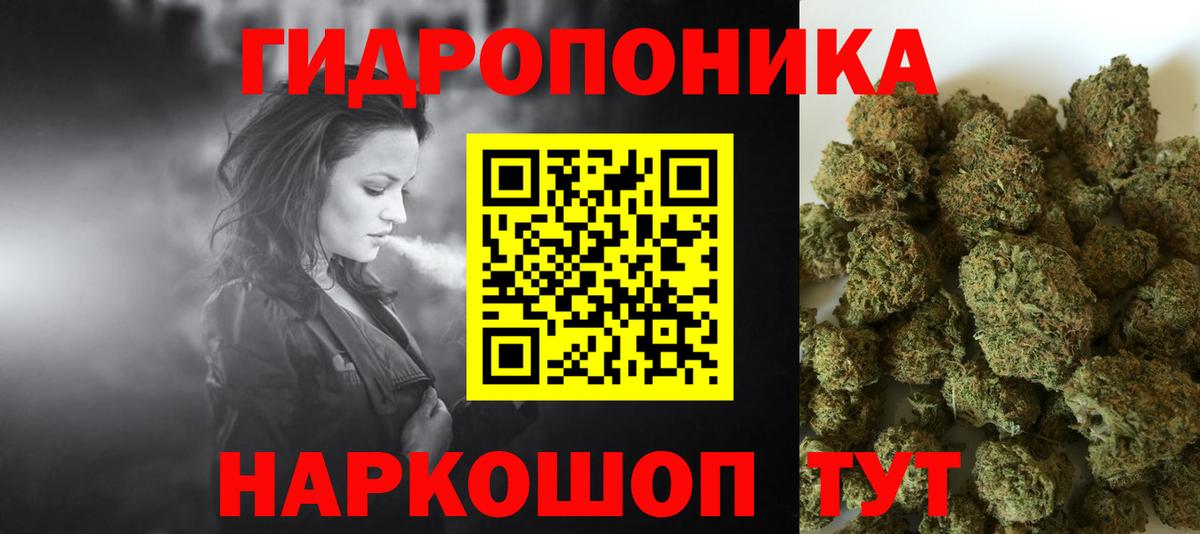 Бошки Шишки OG Kush  Вход с VPN  Среднеуральск  Канабис планчик 